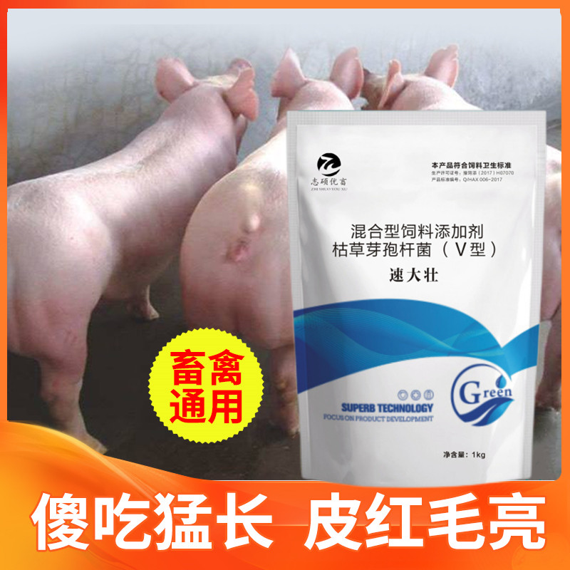 速大壮育肥猪催肥增肥增重脱僵拉骨架促生长提前出栏饲料添加剂