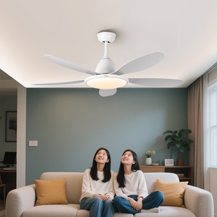 丰韵五叶大风力吊扇灯客厅餐厅卧体现代简约电风扇灯吊灯室家用一