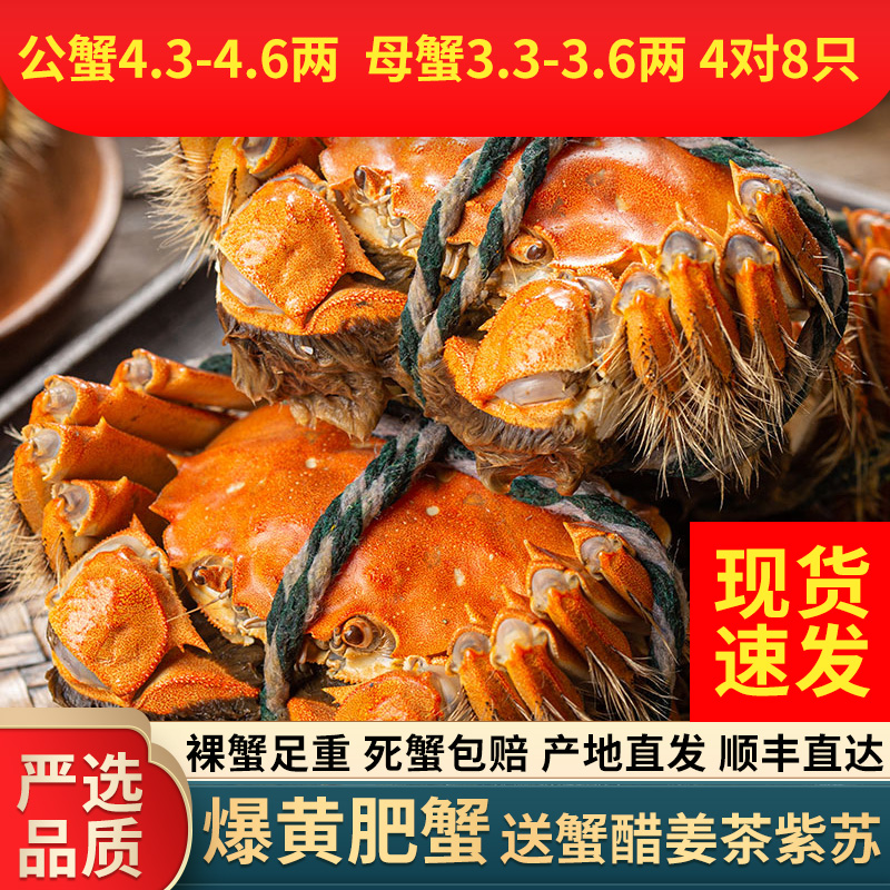 4对公蟹4.3-4.6两母蟹3.3-3.6两