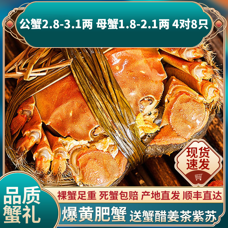 大闸蟹8只螃蟹大闸蟹鲜活