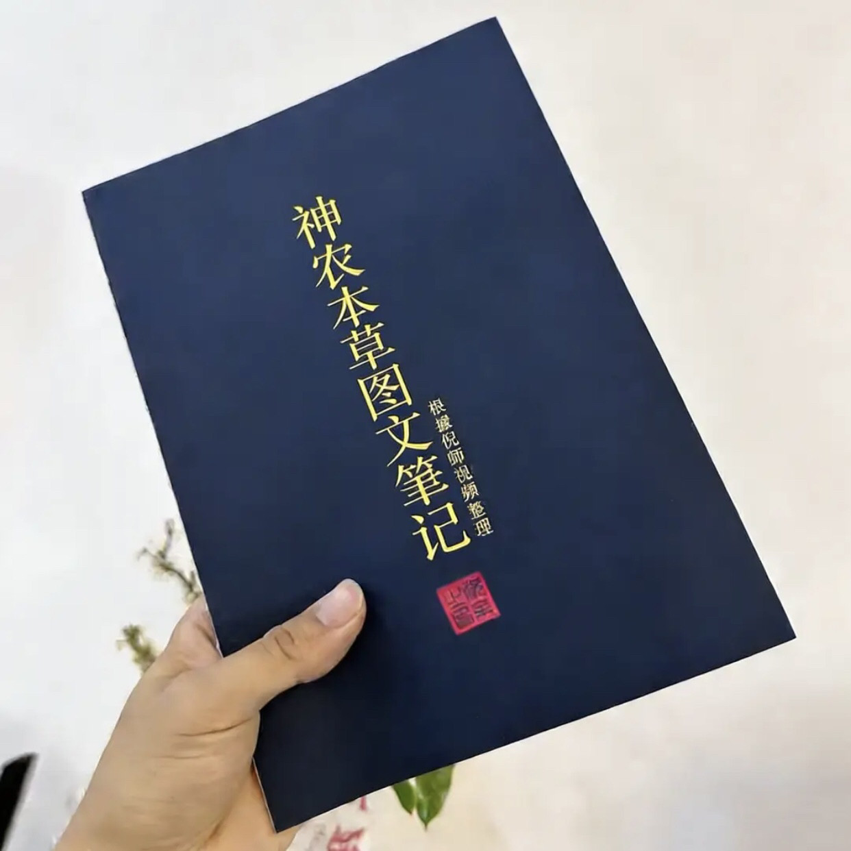 倪师针灸大成学习笔记插图版彩色海厦针灸大成图文笔记本本文化品