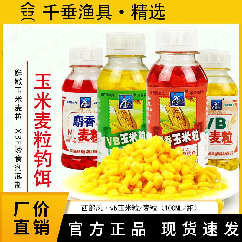 王西部风青草玉米粒VB钓鱼麦粒