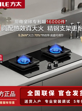 Fotile/方太 JZT-TF29B燃气灶煤气灶家用双灶台天然气液化气猛火