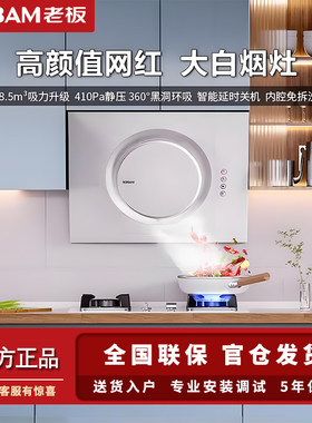 老板21A6H油烟机家用租房