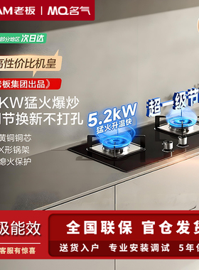 MQ/名气 A6110B然气燃气灶双灶家用液化气煤气炉灶台双灶老板出品