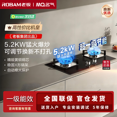 老板出品名气A6110B燃气灶双灶