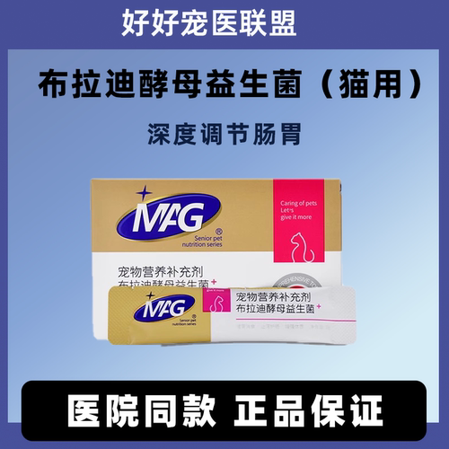 医院同款推荐猫咪益生菌调理肠胃