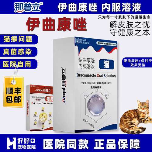 豆哥推荐伊曲康唑口服液猫癣