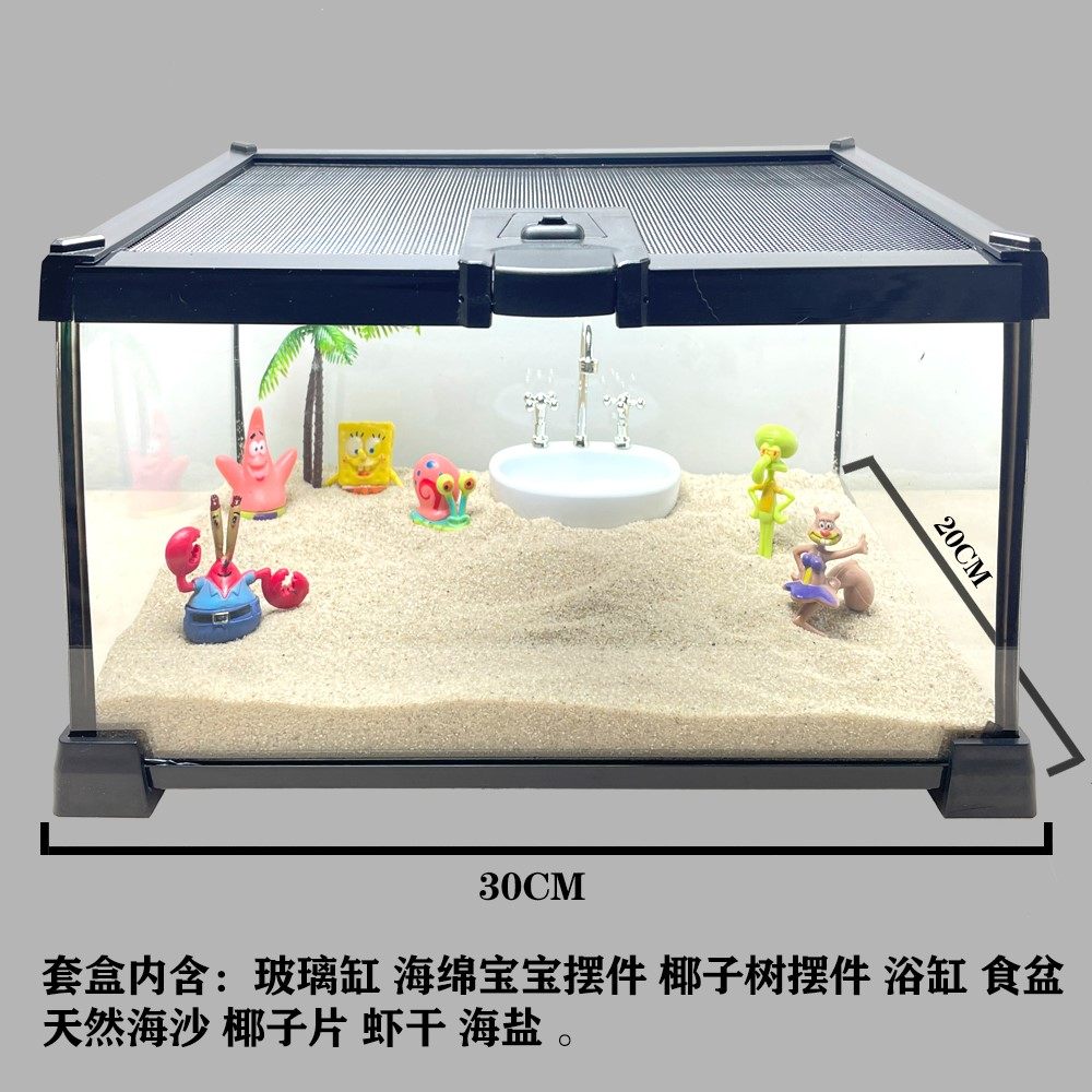 沙蟹饲养套盒中华沙蟹可爱大眼睛寄居蟹混养小螃蟹懒人桌宠易养