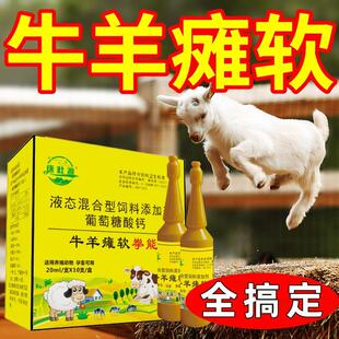 羔羊瘫软灵小羊羔四肢无力瘫痪后腿站立不稳软骨神兽用葡萄糖酸钙
