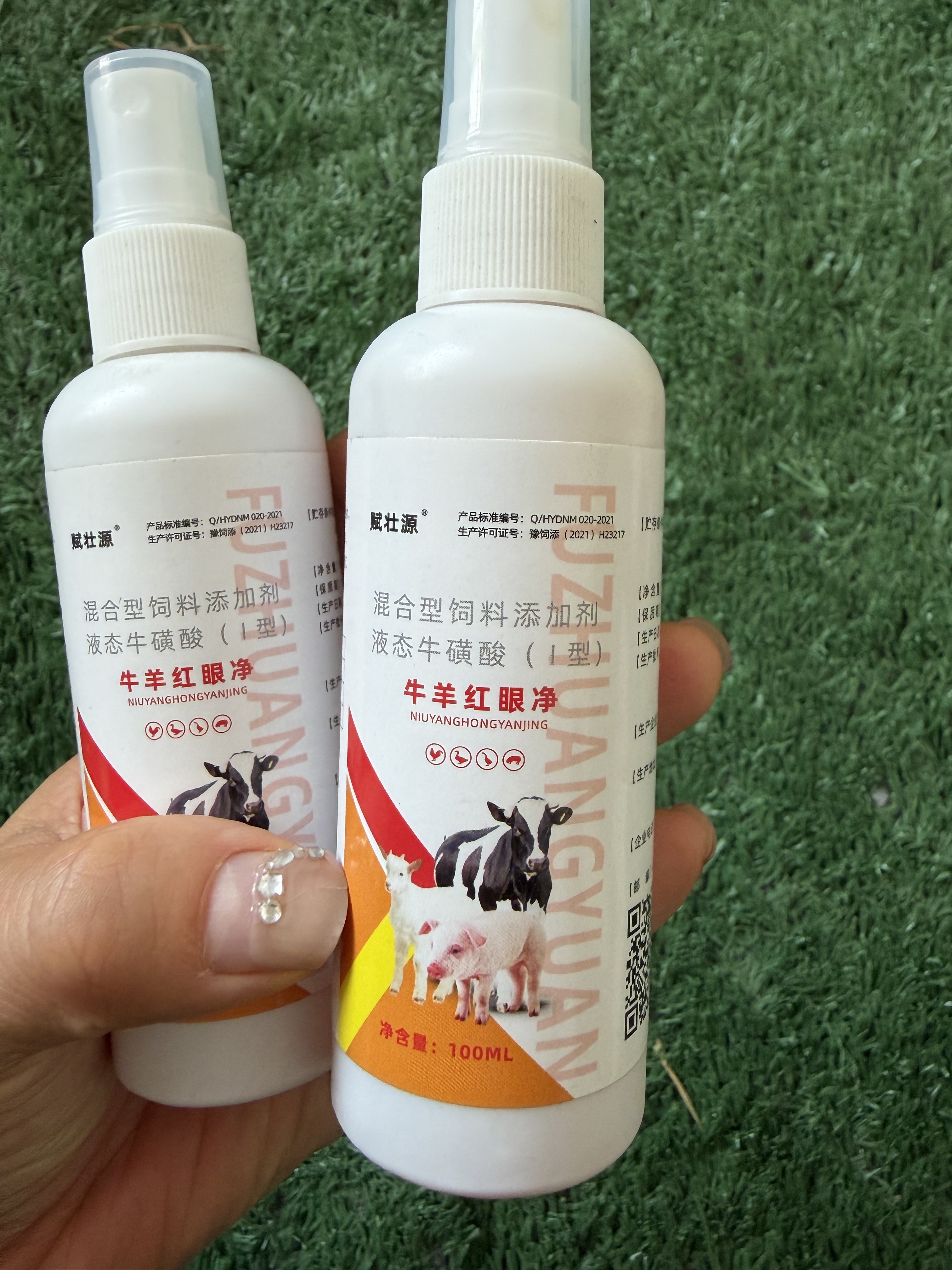 牛羊牛羊通用眼红眼屎多流泪眼屎多