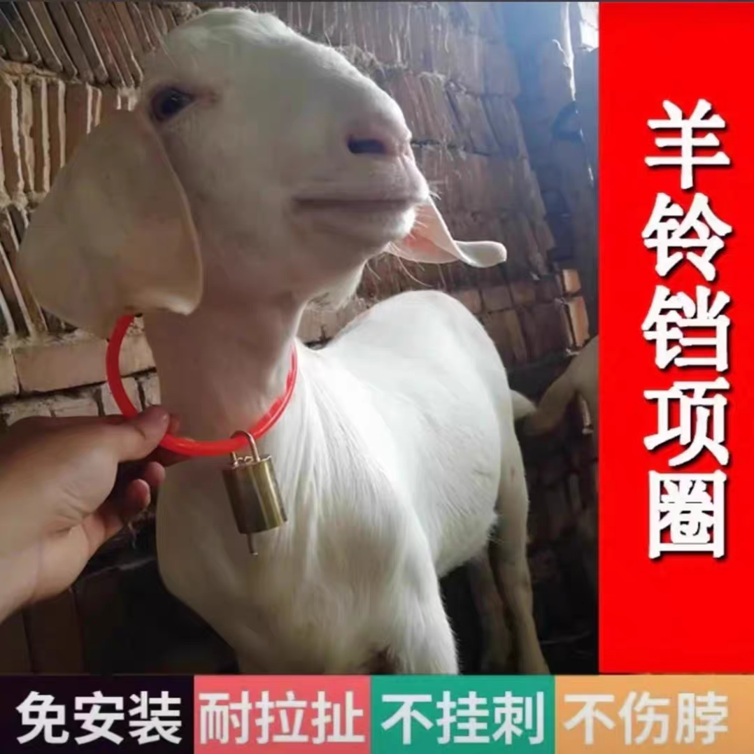 羊铃铛项圈自动扣羊脖套超响羊铃铛养殖用小羊羔带标记羊脖圈颈圈