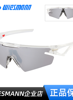 Wiesmann韦斯曼偏光太阳镜户外骑行驾驶专用防风一体眼镜WSM58001