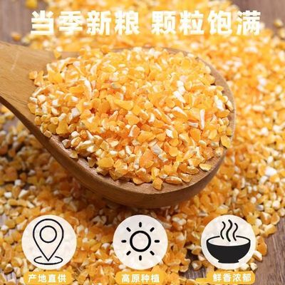 东北玉米碴子新米香糯玉米糁
