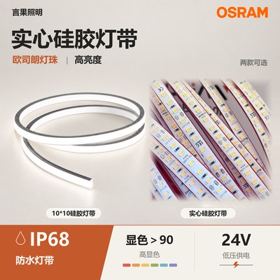 欧司朗24V/IP68户外LED灯带