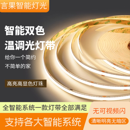 智能灯带双色语音led灯带