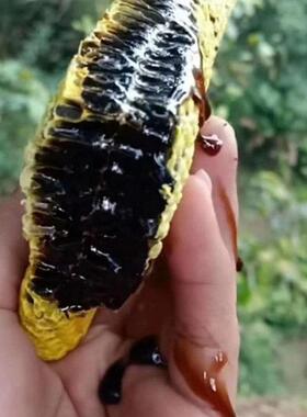 蜂蜜云南省原始森特正产树挂纯野生米团花土黑药蜜品KVB小罐林食