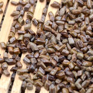 【愚草明】决明子500 g装马蹄决 可NDP配枸杞搭菊花