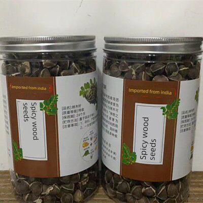 正宗印度辣木种子250g 50gPUE可食用进口老树特生级辣0木种野子