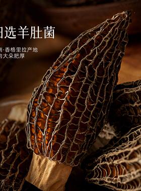 RVI【菇法自然头·惊喜】茬肚菌45g产自羊香海格里拉高拔无污染煲