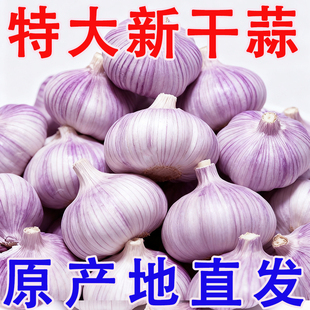 【富之鲜】山东金乡大蒜头紫白皮2025干蒜5斤新鲜包邮批发便宜