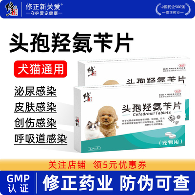 修正宠物消炎药狗狗猫咪用