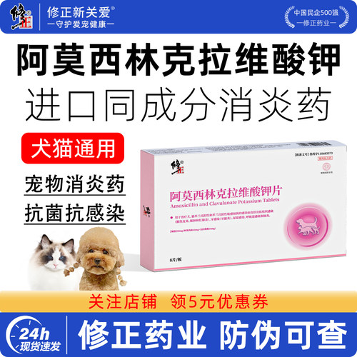 修正新关爱阿莫西林克拉维酸钾片宠物抗菌消炎药狗狗猫咪感冒药
