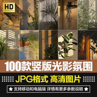 竖版 阳光照射植物光影氛围感光斑光晕室内直播间绿幕背景图片素材