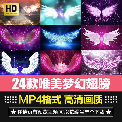 翅膀唯美梦幻视频素材