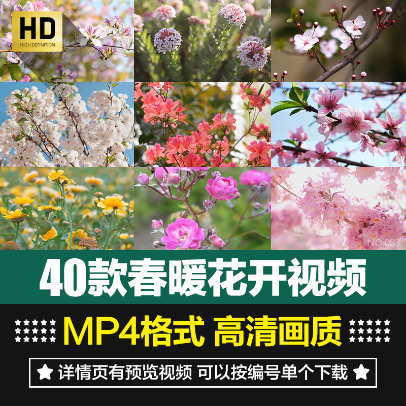 高清桃花梅花樱花朵自然植物春暖花开摄影特写抒情短视频剪辑素材