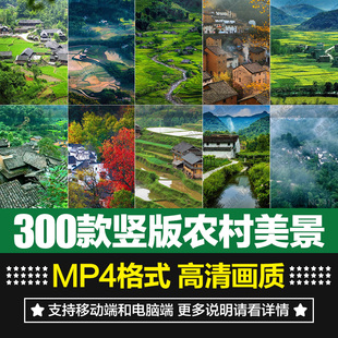 竖版农村田园美景农家土房子儿时记忆风景抖音直播间背景视频素材