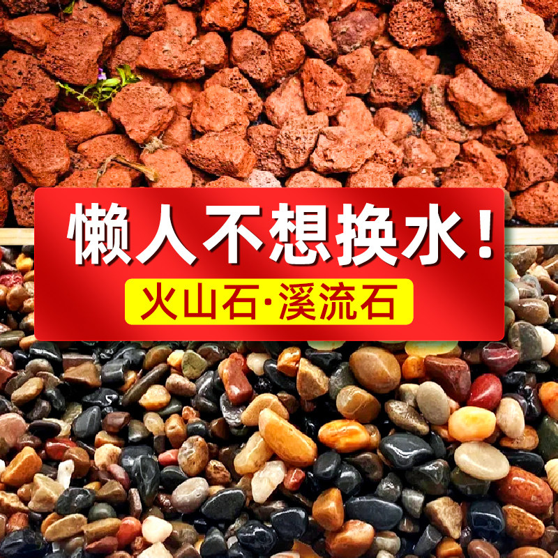 溪流石小鱼缸造景专用火山石底部砂石头乌龟装饰摆件石头生态全套