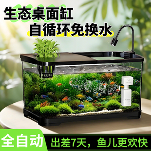 鱼缸过滤制氧一体机小型客厅2025新款生态缸造景摆件桌面金鱼缸用