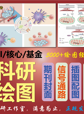 科研绘图 信号通路图 期刊封面 示意图 机制图 流程图 SCI画图TOC
