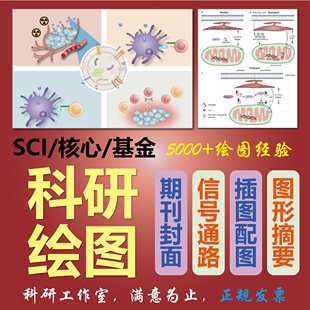 科研绘图 信号通路图 期刊封面 示意图 机制图 流程图 SCI画图TOC