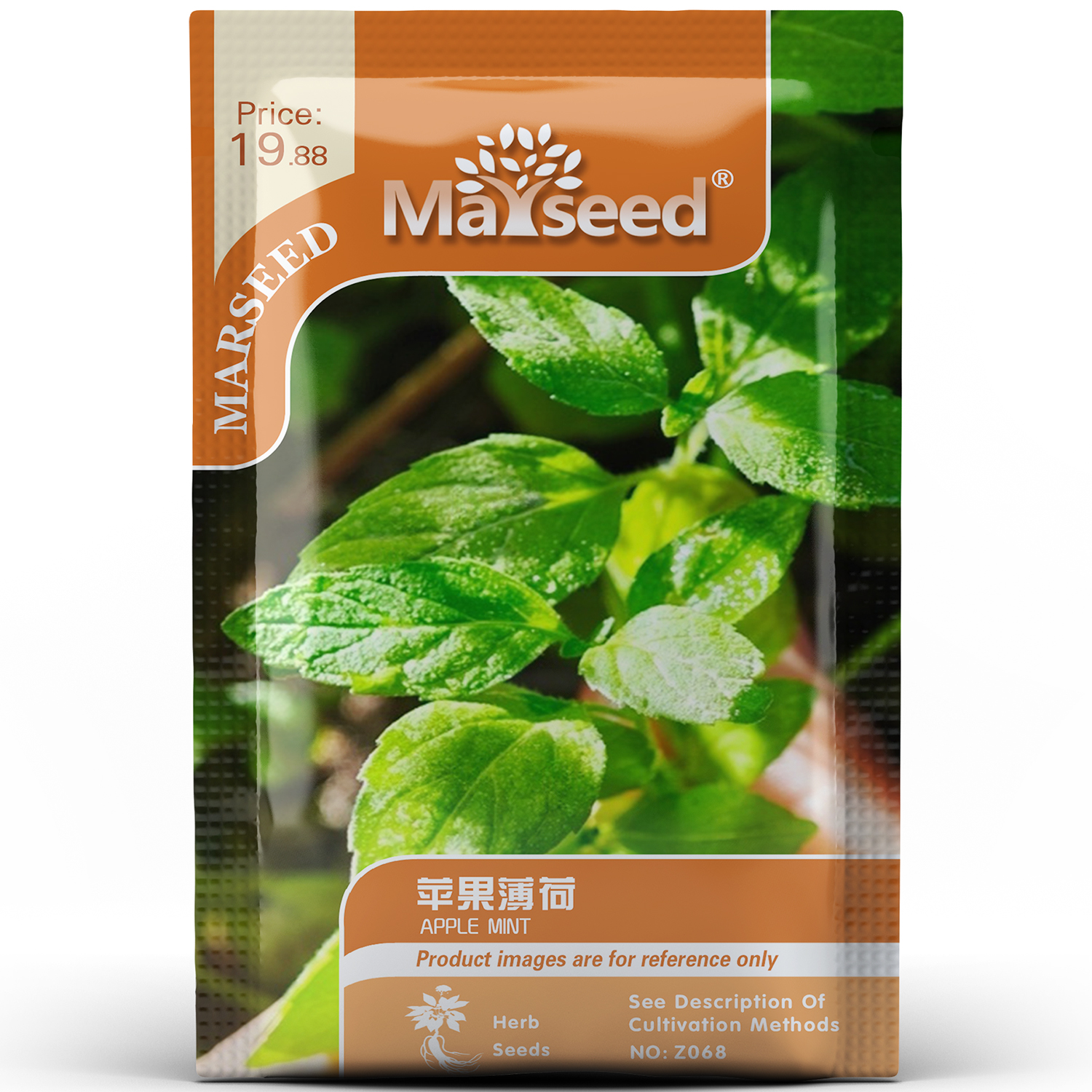 毛茸茸多年生可食用苹果薄荷种子