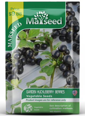 【MARSEED火星家】传家宝 Huckleberry 花园哈克贝利浆果种子籽