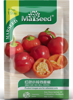 清脆好吃红色小铃铛甜椒水果味蔬菜摆盘沙拉阳台盆栽种子种苗A145