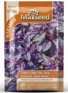 【MARSEED火星家】传家宝Purple Opal Basil紫黑蛋白石罗勒种子