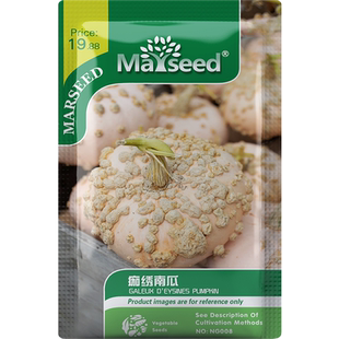 【新品推荐】法国进口传家宝痂绣南瓜种子丑陋特别又美味蔬菜孑籽