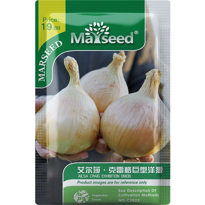 传家宝艾尔莎克雷格巨型洋葱种子