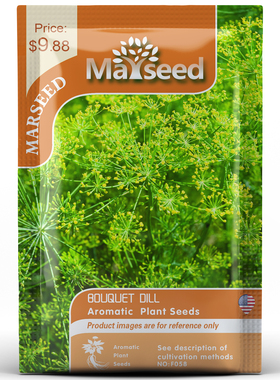 【MARSEED火星家】传家宝BOUQUET DILL 花束莳萝种子