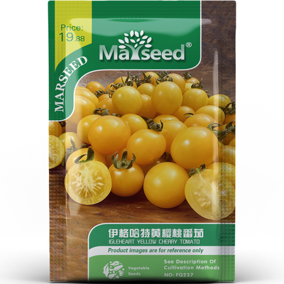 获奖伊格哈特黄樱桃番茄清新亮眼甜润口感家庭果蔬菜种子种苗A117