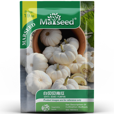 奶白高颜值 精巧可爱 白贝贝微型南瓜粉糯香甜观赏食用种孑子籽