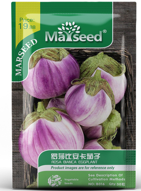 【官网高分】超好吃意大利老品种Rosa Bianca罗莎比安卡茄子种子