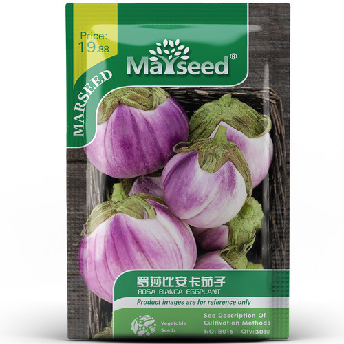 意大利进口老品种罗莎比安卡茄子