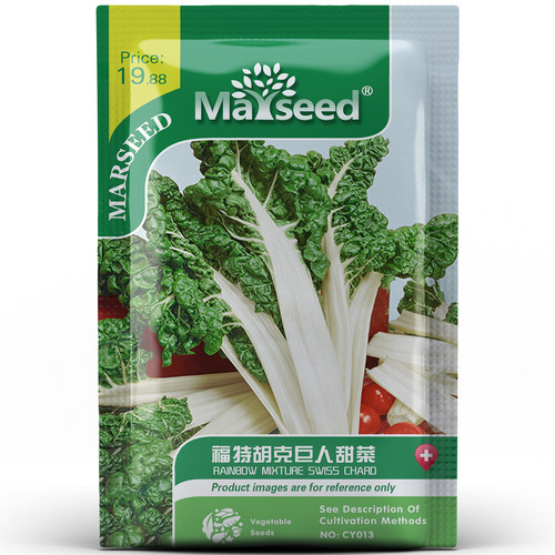 高产的巨人甜菜种子植物易种植