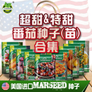 番茄合集进口传家宝老洋柿子大西红柿蔬菜小番茄种子籽苗阳台盆栽