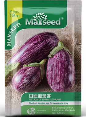 经典好吃甘迪亚茄子带条纹皮薄可食家庭阳台庭院蔬菜种子种苗A194