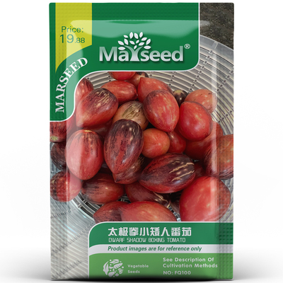 盆栽超好吃太极拳矮人番茄种子籽